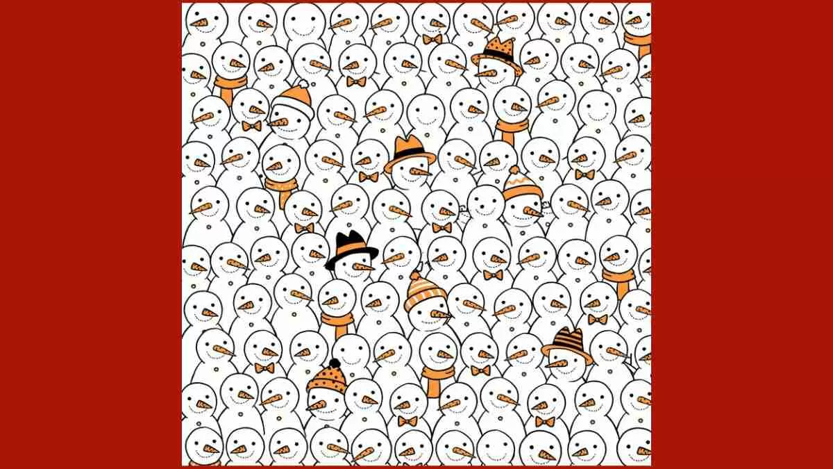 Five Noseless Snowmen Optical Illusion
