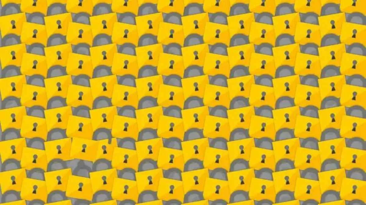 Can you spot the odd latch in the suite of locks?