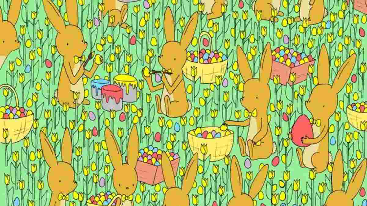 Brain Teaser: Can you help Mother Hen find the lost chick in the Colony of rabbits?