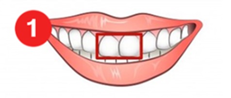 Teeth Shape Personality Test: What does your teeth say about your personality?