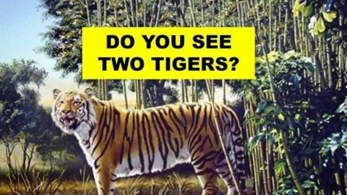 Optical Illusion Everyone Sees The First Tiger But Can You Find The Second Tiger In This Image 