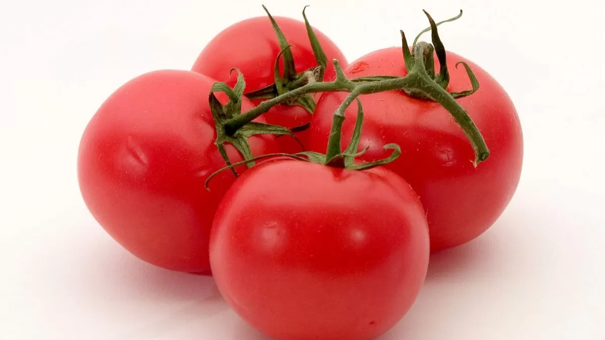 Is Tomato A Fruit Or A Vegetable?
