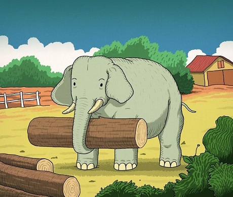 Optical Illusion for Testing Your IQ: Only 1% of People can spot hidden  animal inside Elephant's Farm in 11 secs!