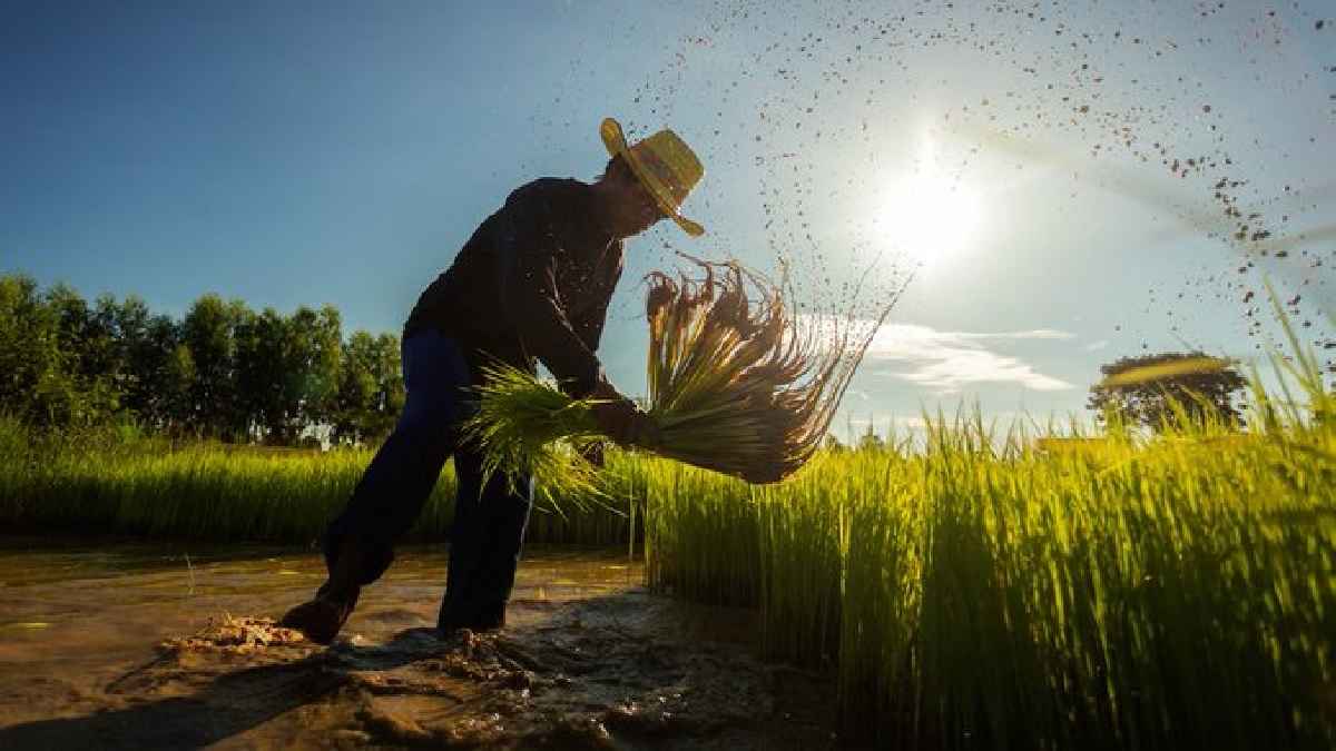 Asian Development Bank announces support of $14 billion for food security in Asia Pacific