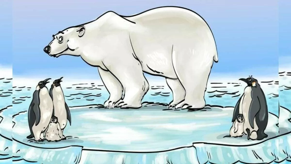 Brain Teaser Picture Puzzle