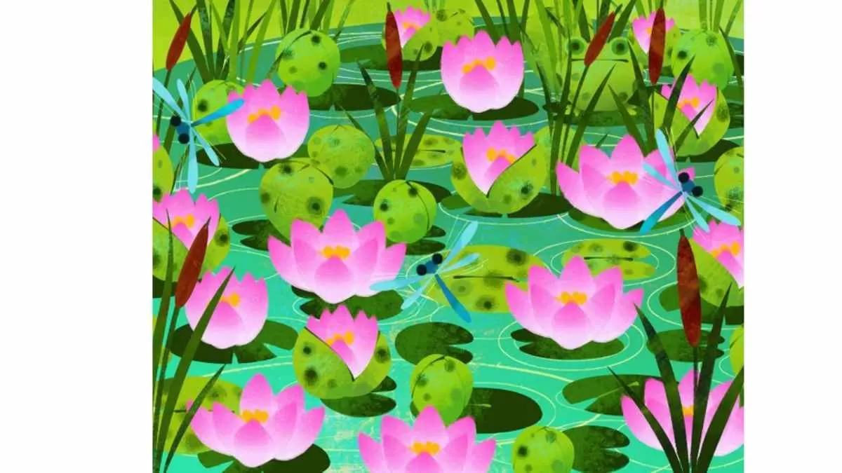 Only 5% of Genius can spot the funny toad in this puzzle