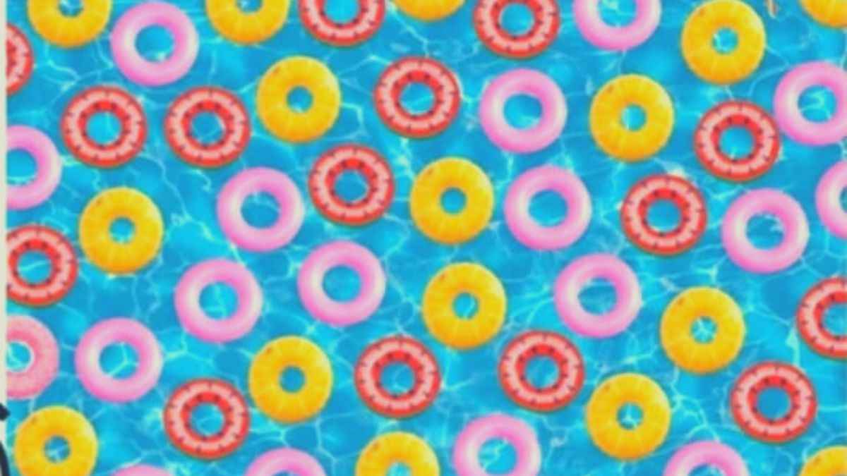 Enjoy These Pool Floats For The Last Time This Summer. What Is The Doughnut Here For? Spot The Hidden Doughnut In 30 Seconds!