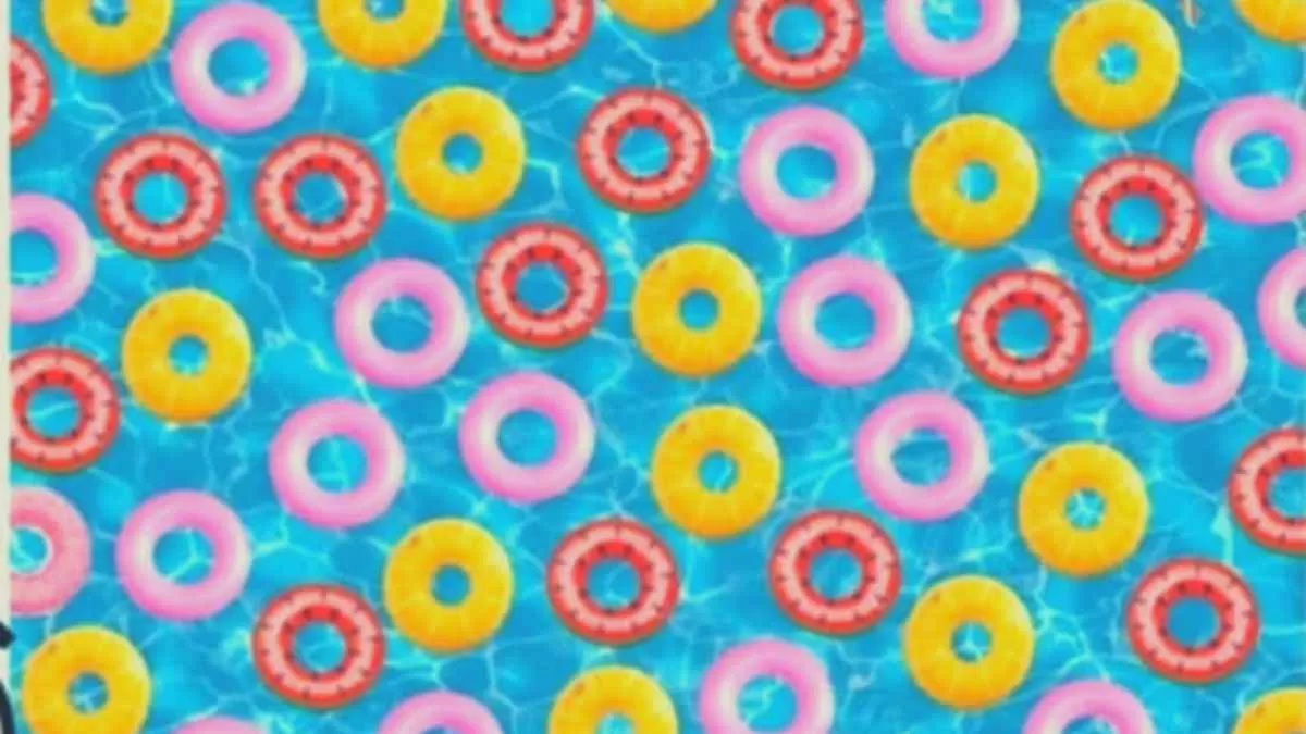 Spot the hidden doughnut!