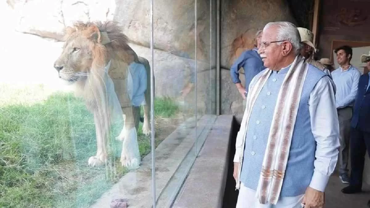 Gurugram To Get Worlds Largest Safari