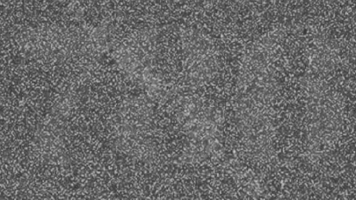 Optical Illusion to Test Your Eyes