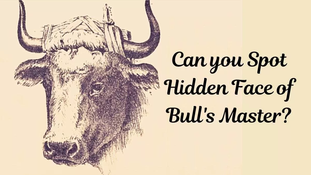Optical Illusion For Testing Your Iq Only A Genius Can Spot Bull Masters Hidden Face In 20 Secs 