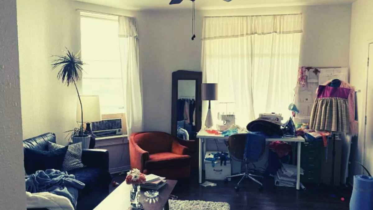 Find The Hidden Cat
