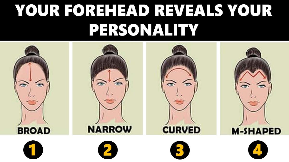What forehead says about personality