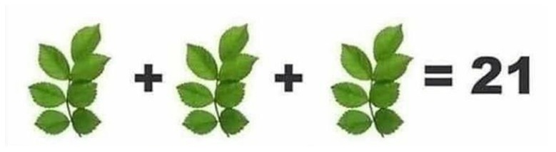 Math Riddles Caterpillar Apple Leaf Puzzle Solved