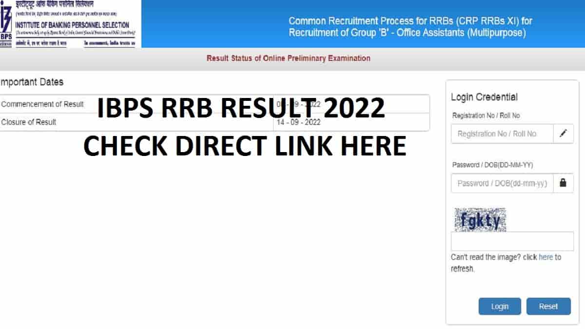 IBPS RRB Clerk Result 2022 (Out) @ibps.in: Check CRP RRB XI OA Prelims ...