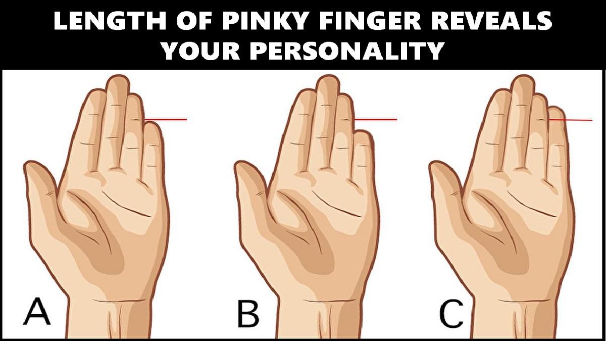 Visual test: the size of your little finger will tell you what your true  personality is - Infobae