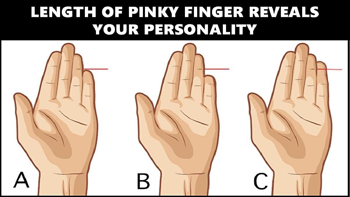 what does the length of pinky finger say about your personality compressed