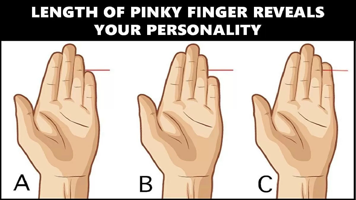 Personality Traits: The shape of your index finger can reveal your