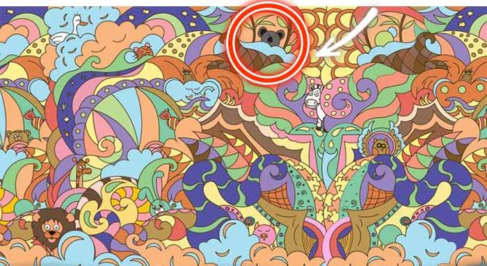 animal personality test 6 koala