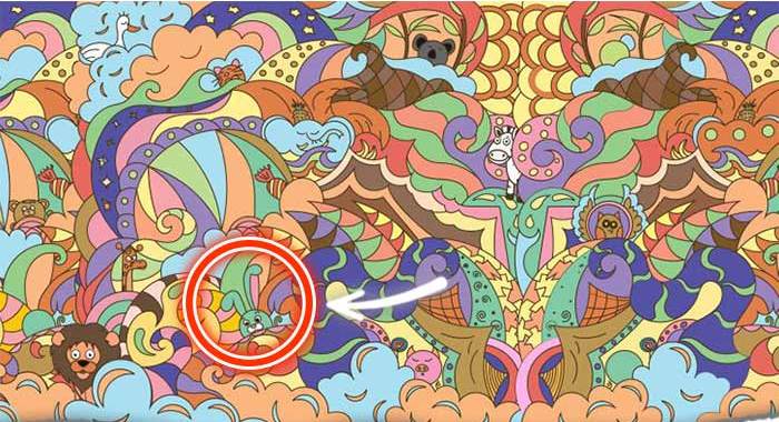 animal personality test 11 rabbit