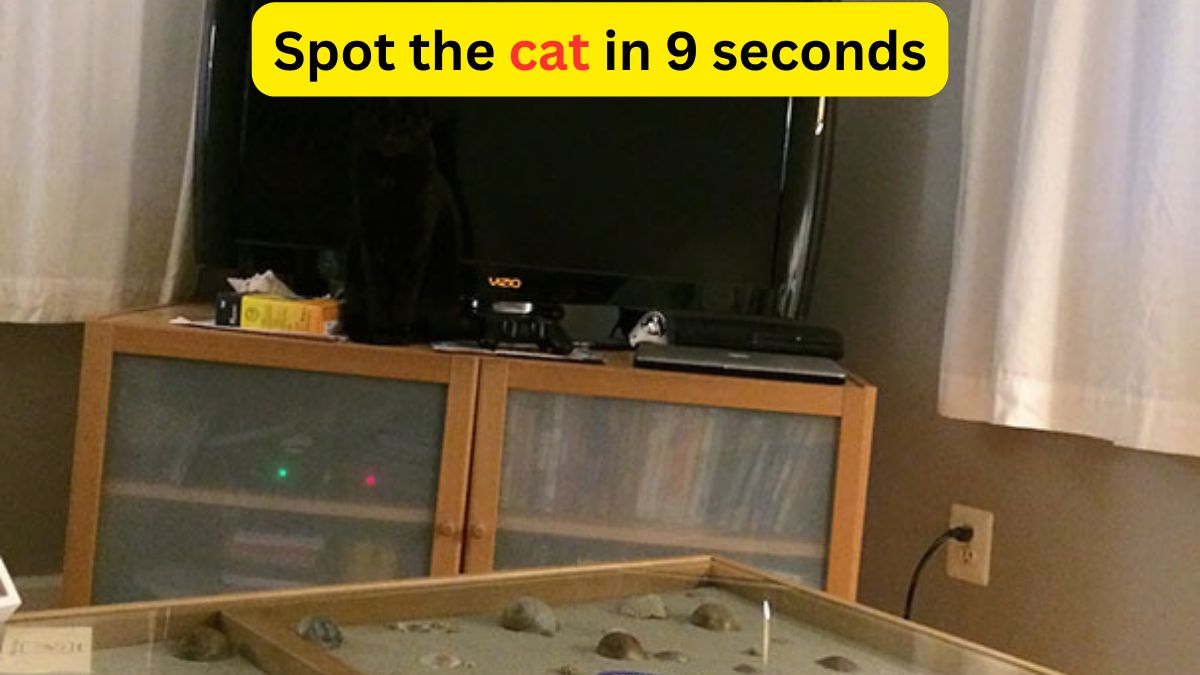 Optical Illusion IQ Test: Are you attentive enough to spot the cat in the living room within 9 seconds? Let’s test!