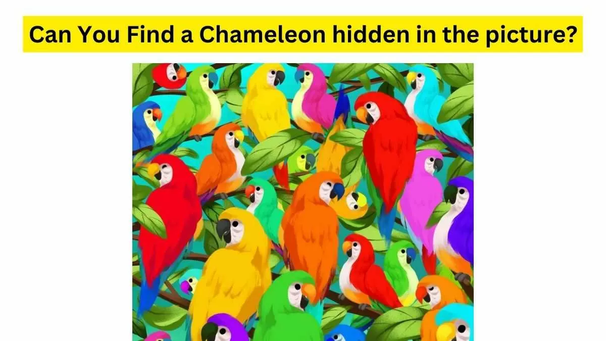 Hey! Mr. Chameleon are you there?