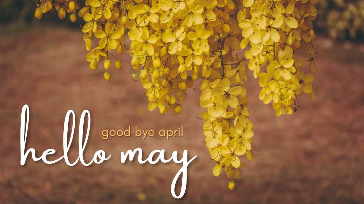 May has arrived!! Special National and International Holidays and