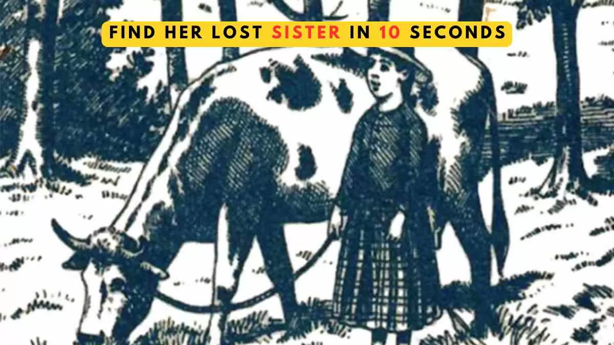Brain Teaser: Spot the girl's lost sister in 10 seconds                             