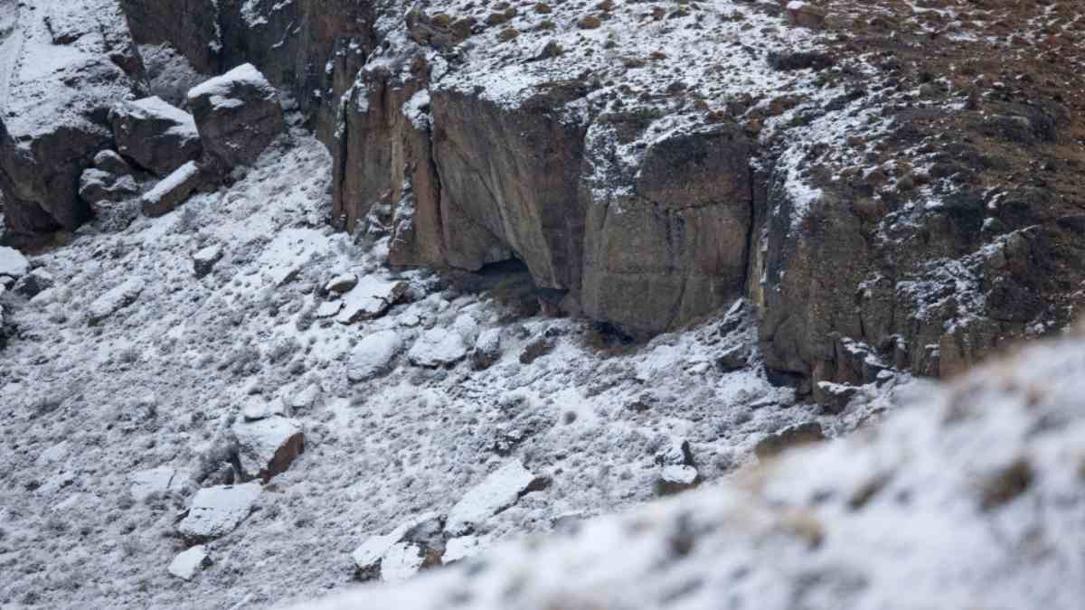 You need to have really sharp eyes to spot the puma hidden in the snowy landscape within 6 seconds!