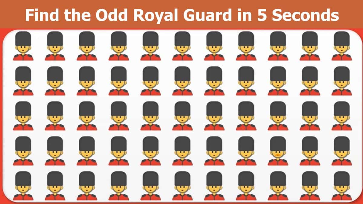 Seek and Find Puzzle: You have the sharpest eyes if you can find the odd royal guard in 5 seconds!