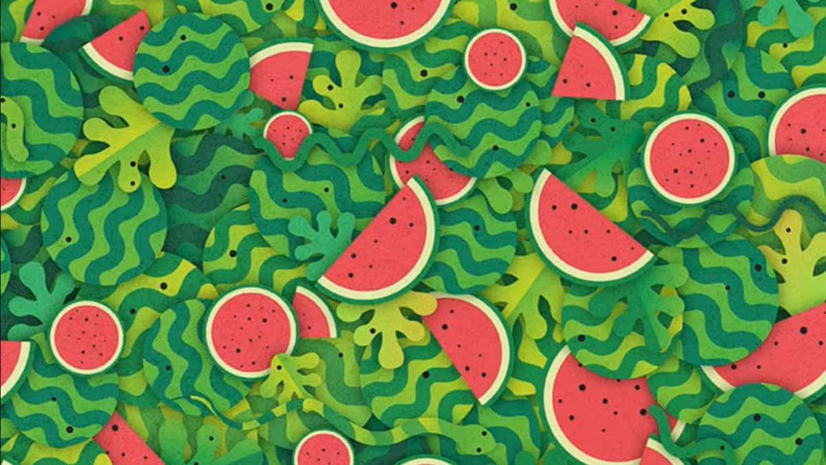 Optical Illusion: Can you spot a snake in the watermelon slices in 6 seconds?