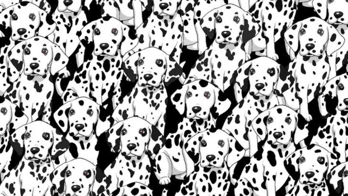 Optical Illusion For Testing Your Iq Can You Find The Dog With No