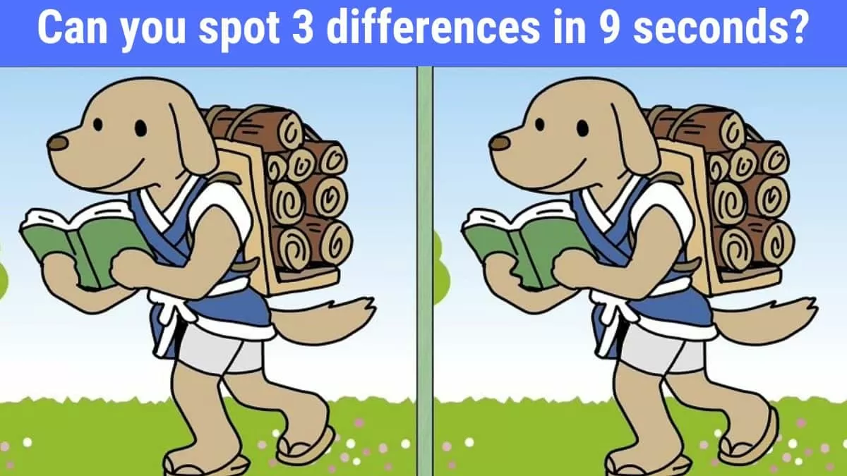 Spot the Difference: Can you spot 3 differences between the two ...