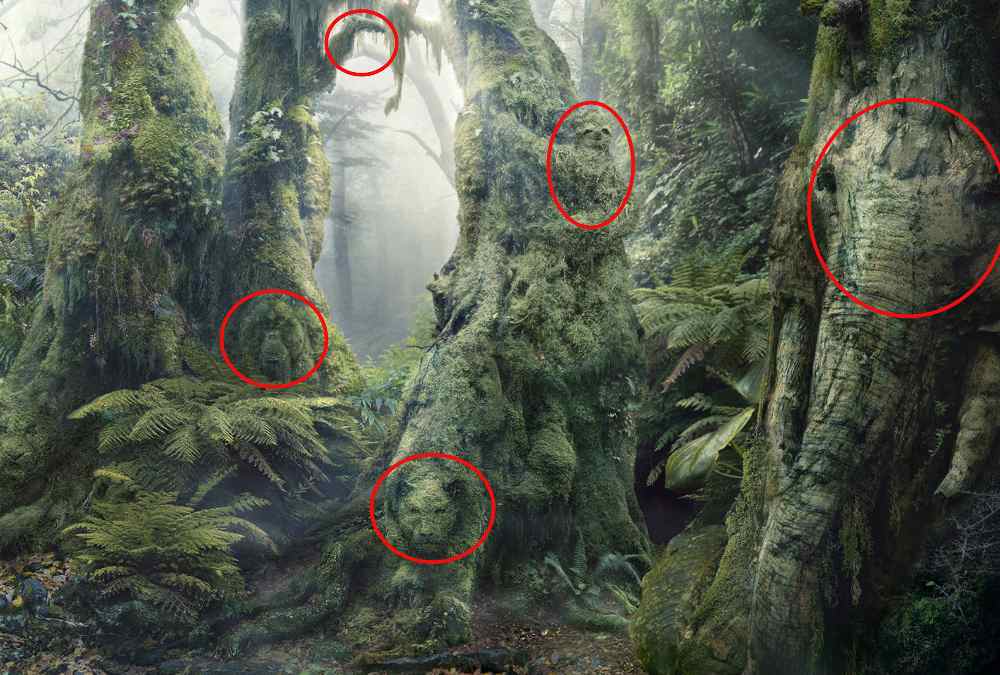 optical illusion for iq test solution