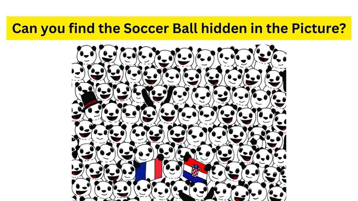 Do You Have Eyes of Hawk to find the Panda? 