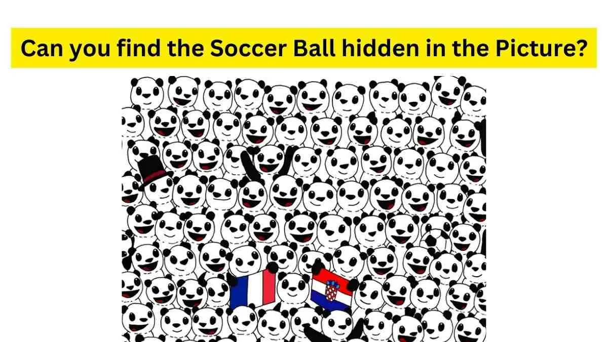 GUESS THE HIDDEN NATIONAL TEAM LOGO