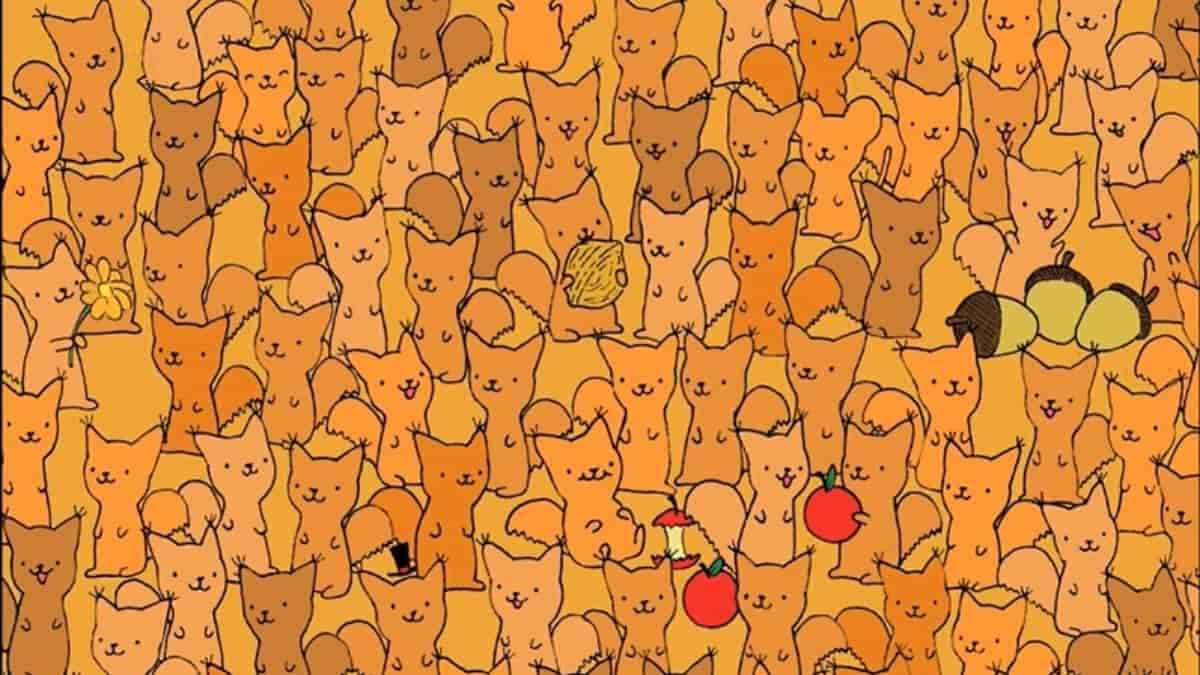 Seek and Find Puzzle: Can you find a mouse hiding among squirrels in 6 seconds?