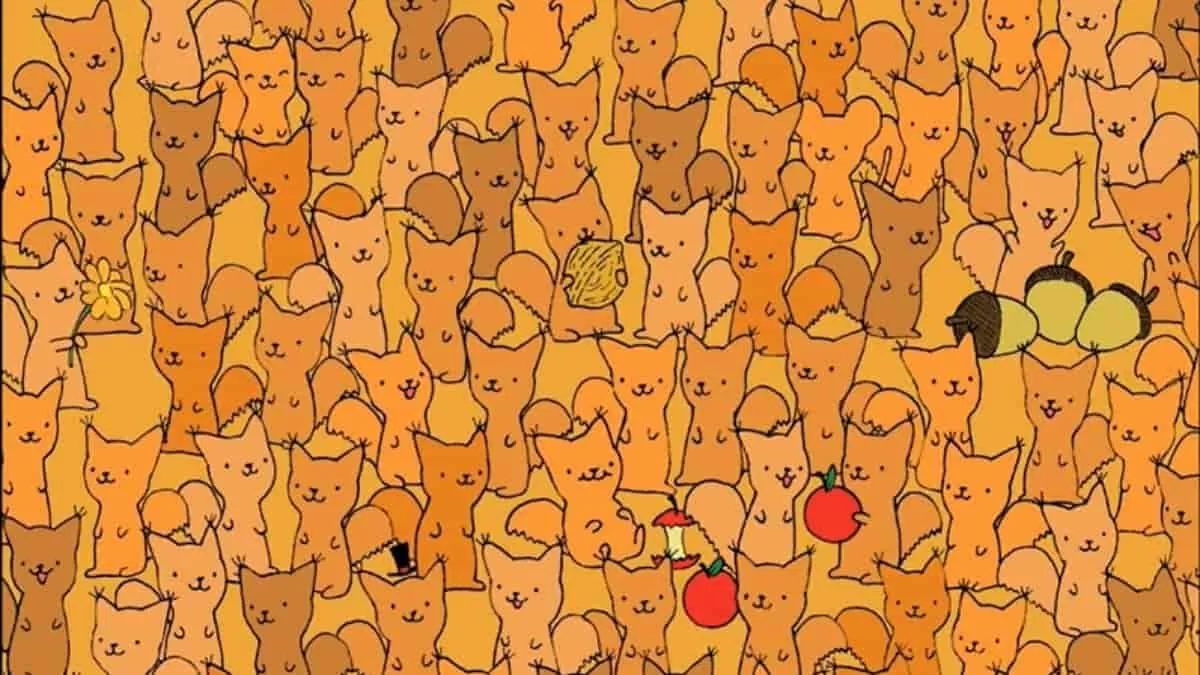 Find Mouse in 6 Seconds