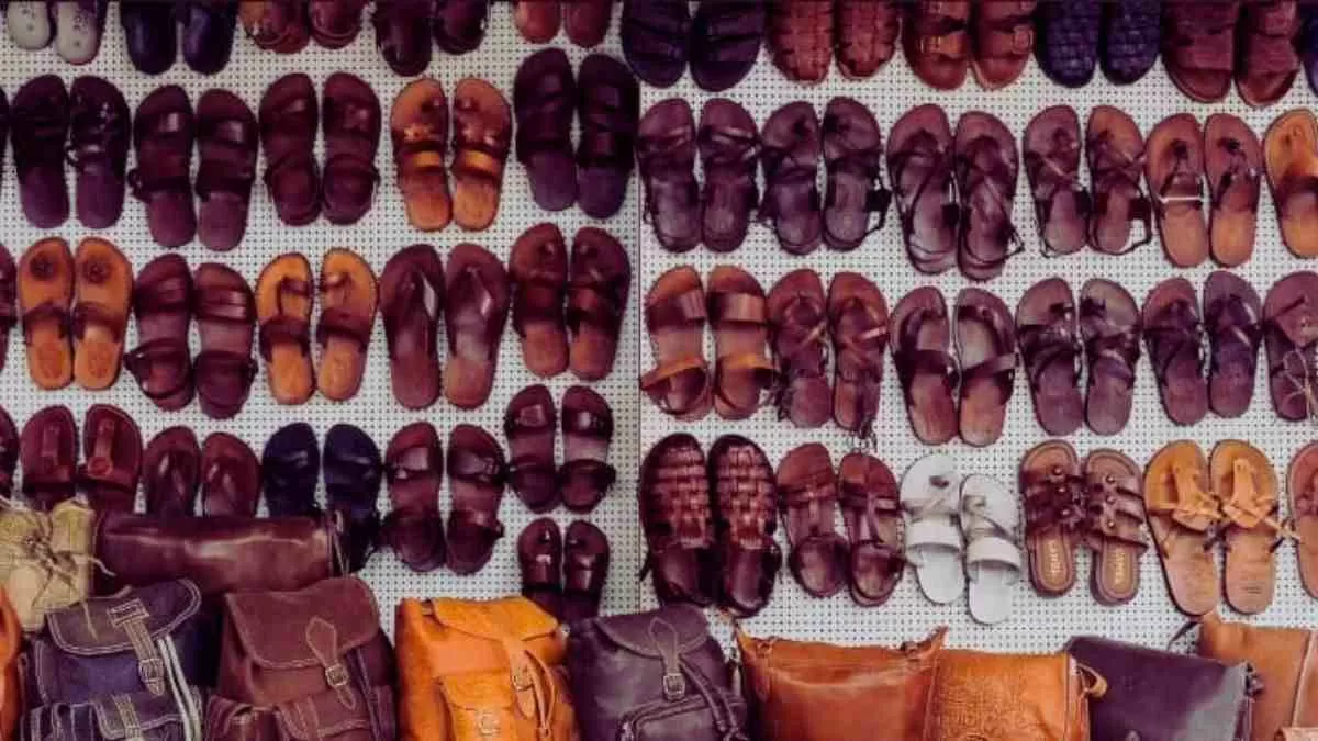 Can you find the hidden spider?