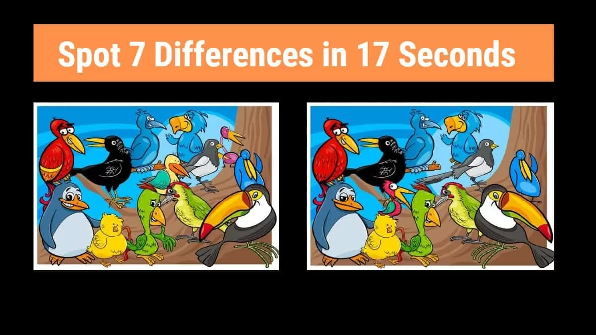 Spot The Difference Can You Spot 7 Differences Between The Two Bird Spot The Difference Can You Spot 7 Differences Between The Two Bird