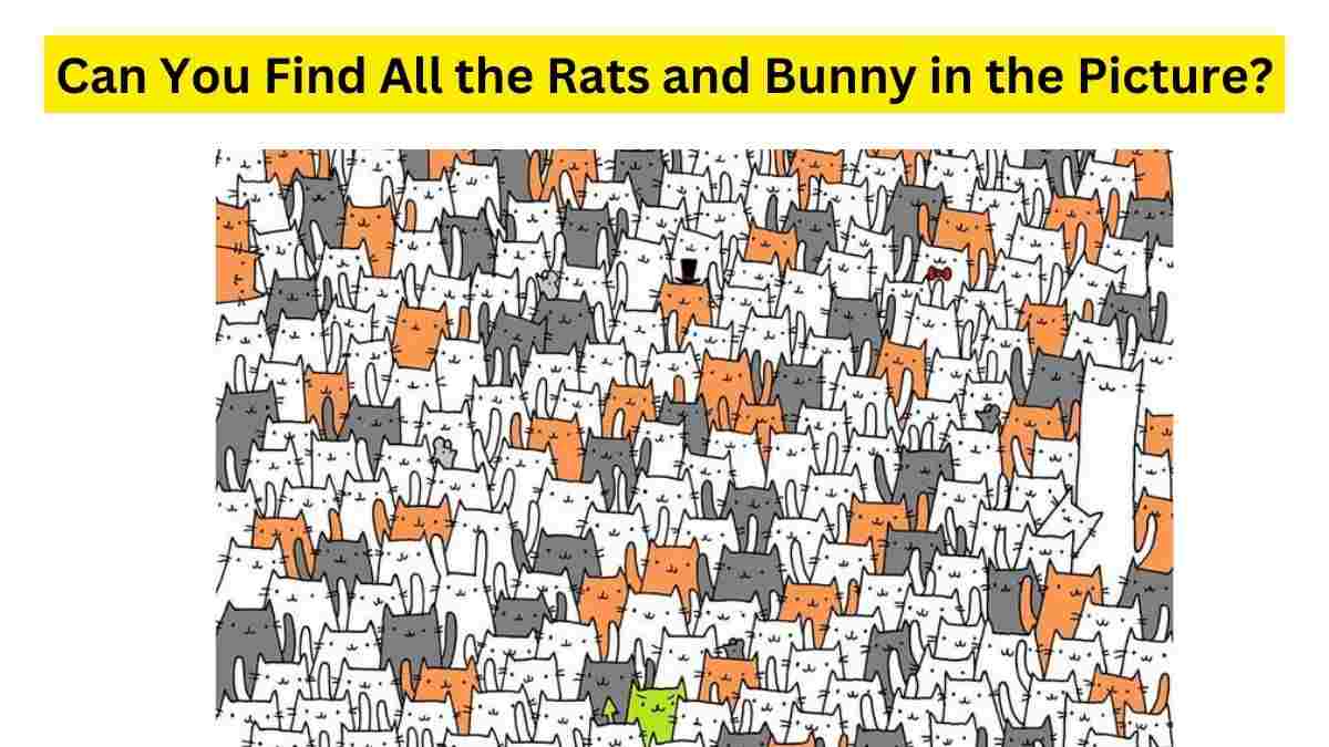 https://img.jagranjosh.com/images/2023/April/1442023/can-you-find-all-rats-and-bunny-in-picture.jpg