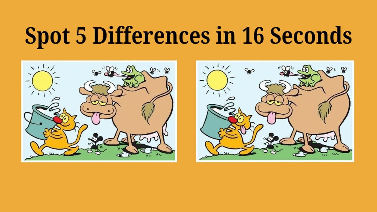 spot the difference cartoon