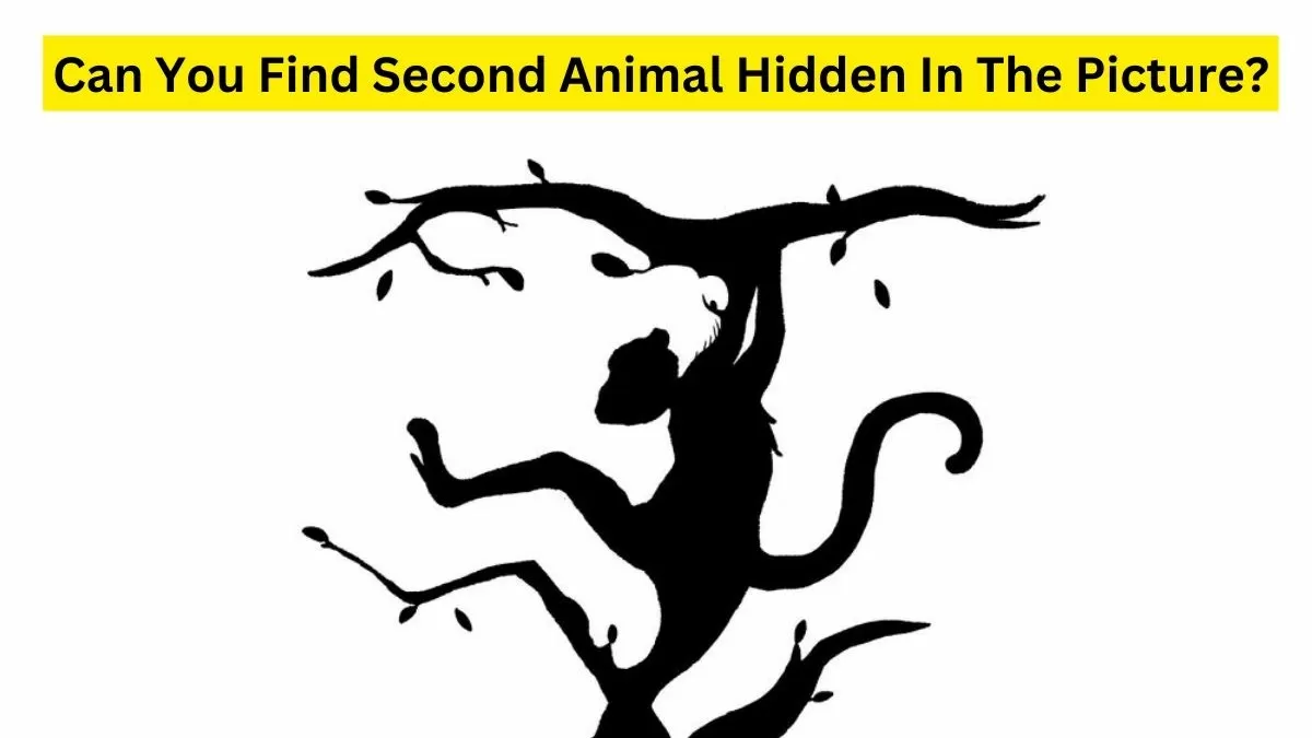 Optical Illusion Challenge: Only 1% of People with High IQ can find the ...