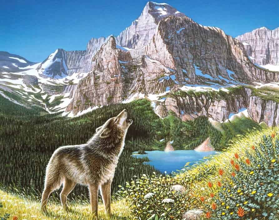 Optical Illusion: Can you spot 4 hidden wolves in the image in 6 seconds?