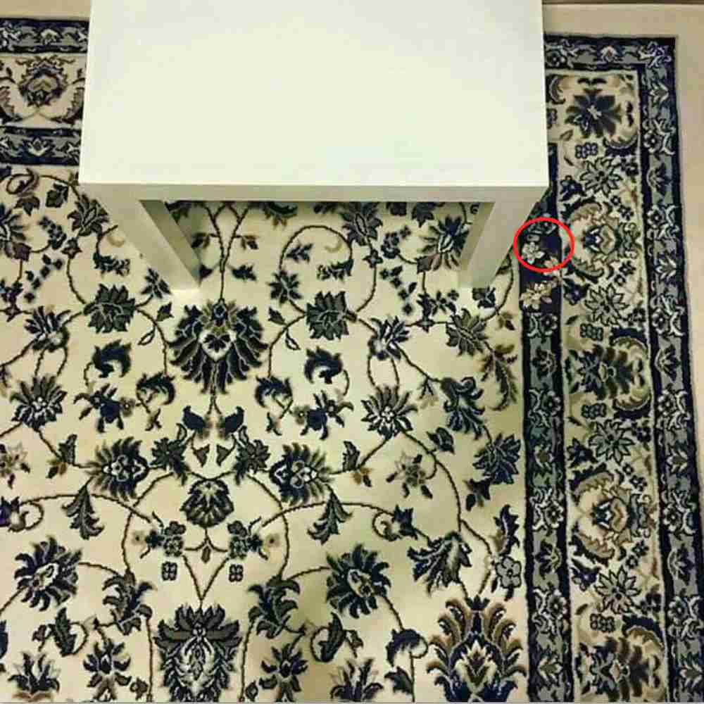 Lost Phone Optical Illusion IQ Test Solution