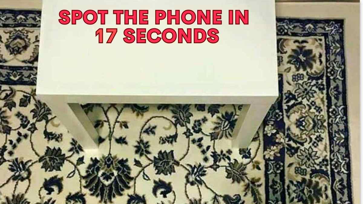 Optical Illusion IQ Test: Can You Spot The Lost Phone In This Picture In 17 Seconds?