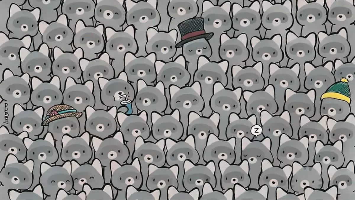 Find Cat among Raccoons in 5 Seconds