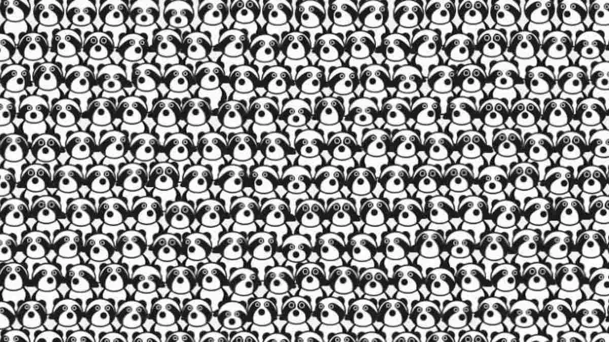 Optical Illusion for Testing Your IQ