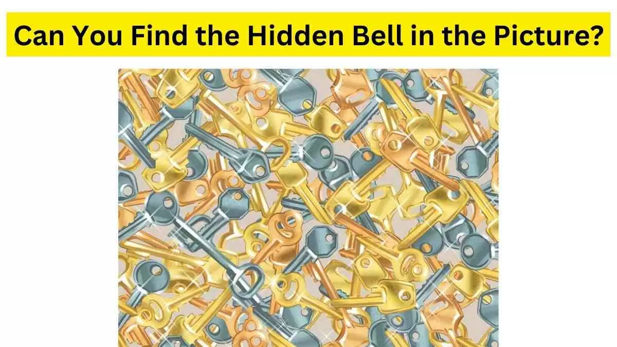 Do you see a bell here?