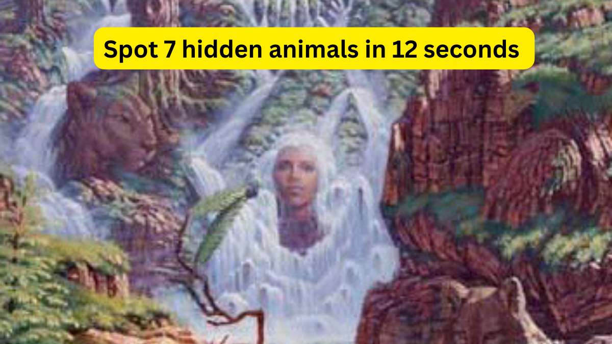 You have 20/20 vision if you can spot hidden optical illusion